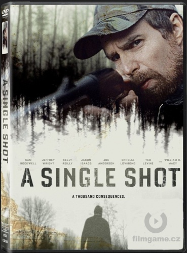 Re: Jednou ranou / A Single Shot (2013)