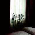 2CD / End Of Green / High Hopes In Low Places / 2CD / Limited Box
