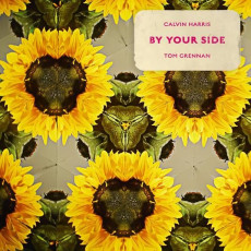 LP / Harris Calvin & Tom Gren / By Your Side / Vinyl