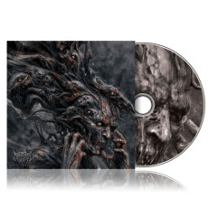 CD / Distant / Into Dispair