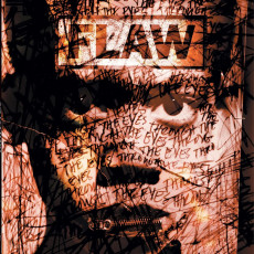 2LP / Flaw / Through The Eyes / Vinyl / 2LP