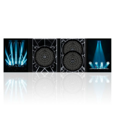 DVD/2CD / Rammstein / Rammstein:Paris / DVD+2CD