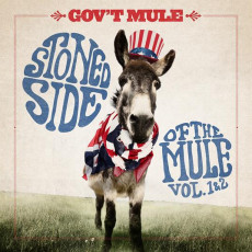2LP / Gov't Mule / Stoned Side Of The Mule 1&2 / Coloured / Vinyl / 2LP