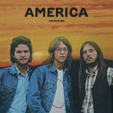 LP / America / Homecoming / Vinyl / Coloured