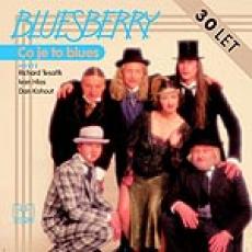 CD / Bluesberry / Co je to blues / CD+kniha