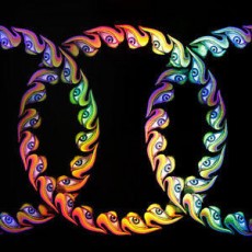 2LP / Tool / Lateralus / Limited Edition / Picture / Vinyl / 2LP