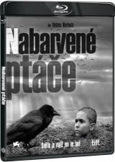 2Blu-Ray / Blu-ray film /  Nabarven pte / 2Blu-Ray