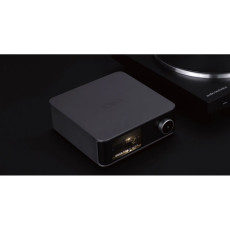 HIFI / HIFI / Streamer / Pedzesilova / WIIM Ultra