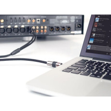HIFI / HIFI / Signlov kabel:Eagle Cable DeLuxe II Stereo Mini / 2xRCA