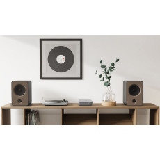 HIFI / HIFI / Streamer / All In One System WIIM AMP / Silver