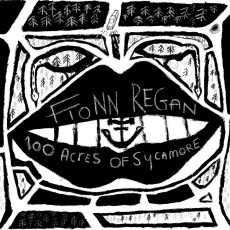 LP / Fionn Regan / 100 Acres Of Sycamore / RSD / Vinyl