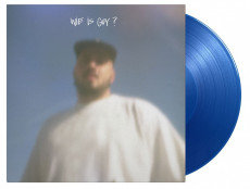 2LP / Zwangere Guy / Wie is Guy? / Vinyl / 2LP / Coloured
