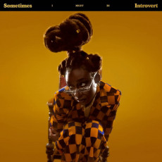 2LP / Little Simz / Sometimes I Might Be Introvert / Clear / Vinyl / 2LP