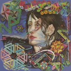 LP / Rundgren Todd / A Wizard,a TrueStar / Vinyl