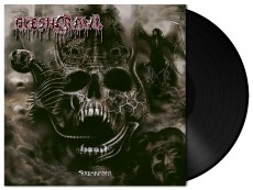 LP / Fleshcrawl / Soulskinner / Vinyl