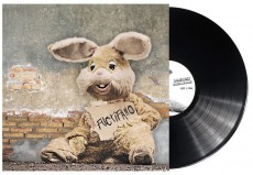 LP / Peter And The Test Tube Babies / Fuctifano / Vinyl