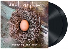 2LP / Soul Asylum / Hurry Up And Wait / Vinyl / 2LP