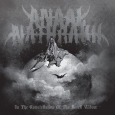 LP / Anaal Nathrakh / In The Constellation Of The Black... / Vinyl