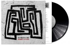 LP / Pineapple Thief / Versions of The Truth / Vinyl
