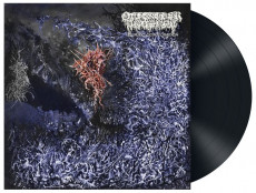 LP / Of Feather and Bone / Sulfuric Disintegration / Vinyl