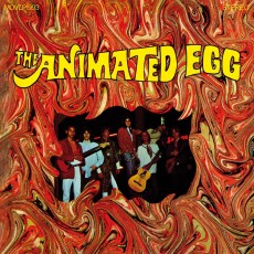 LP / Animated Egg / Animated Egg / Vinyl / Coloured