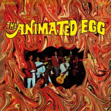 LP / Animated Egg / Animated Egg / Vinyl / Coloured