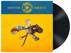 LP / Steve'n'seagulls / Another Miracle / Vinyl