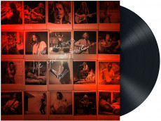 LP / Cornell Chris / No One Sings Like You / Vinyl