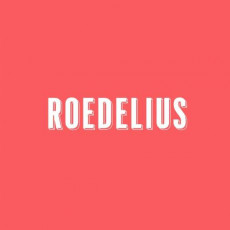 LP / Roedelius / Drauf Und Dran / Vinyl