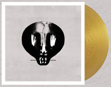 LP / Bullet For My Valentine / Bullet For My Valentine / Gold / Vinyl