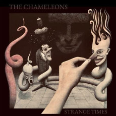 2LP / Chameleons / Strange Times / Vinyl / 2LP