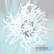 LP / Karn Mick / More Better Different / Vinyl