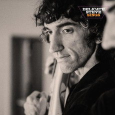 LP / Delicate Steve / Delicate Steve Sings / Vinyl
