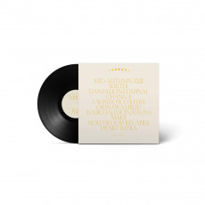 LP / Emmy The Great / April / Vinyl