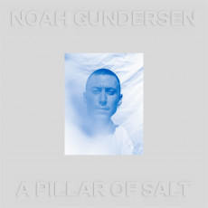 CD / Gundersen Noah / Pillar Of Salt