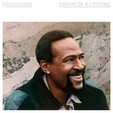 LP / Gaye Marvin / Dream Of a Lifetime / Vinyl / Coloured