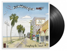 LP / Jack's Mannequin / Everything In Transit / Vinyl