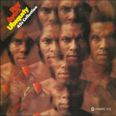 LP / Ayers Roy / Ubiquity 45s Collection / Single / Vinyl