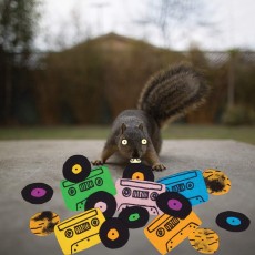 LP / Evidence / Squirrel Instrumentals Vol.1 / Vinyl