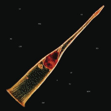 CD/BRD / Leprous / Melodies Of Atonement / 2CD+Blu-Ray / Artbook