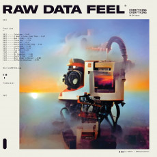LP / Everything Everything / Raw Data Feel / Clear / Vinyl