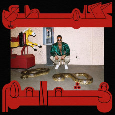 CD / Shabazz Palaces / Robed In Rareness