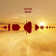 2LP / Bush Kate / Aerial / Reedice / Vinyl / 2LP