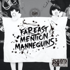 CD / Femm / Femm-Isation