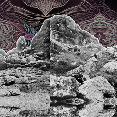LP / All Them Witches / Dying Surfer Meets His Maker / Vinyl.