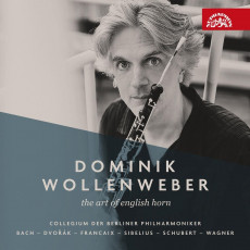 CD / Wollenweber Dominik / Art of English Horn