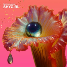 CD / Various / Fabric Presents Shygirl