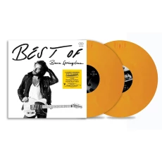 2LP / Springsteen Bruce / Best of Bruce Springsteen / Yellow / Vinyl / 2LP