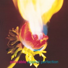 LP / Adorable / Against Perfection / Vinyl