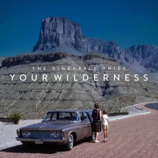CD / Pineapple Thief / Your Wilderness / Digipack
